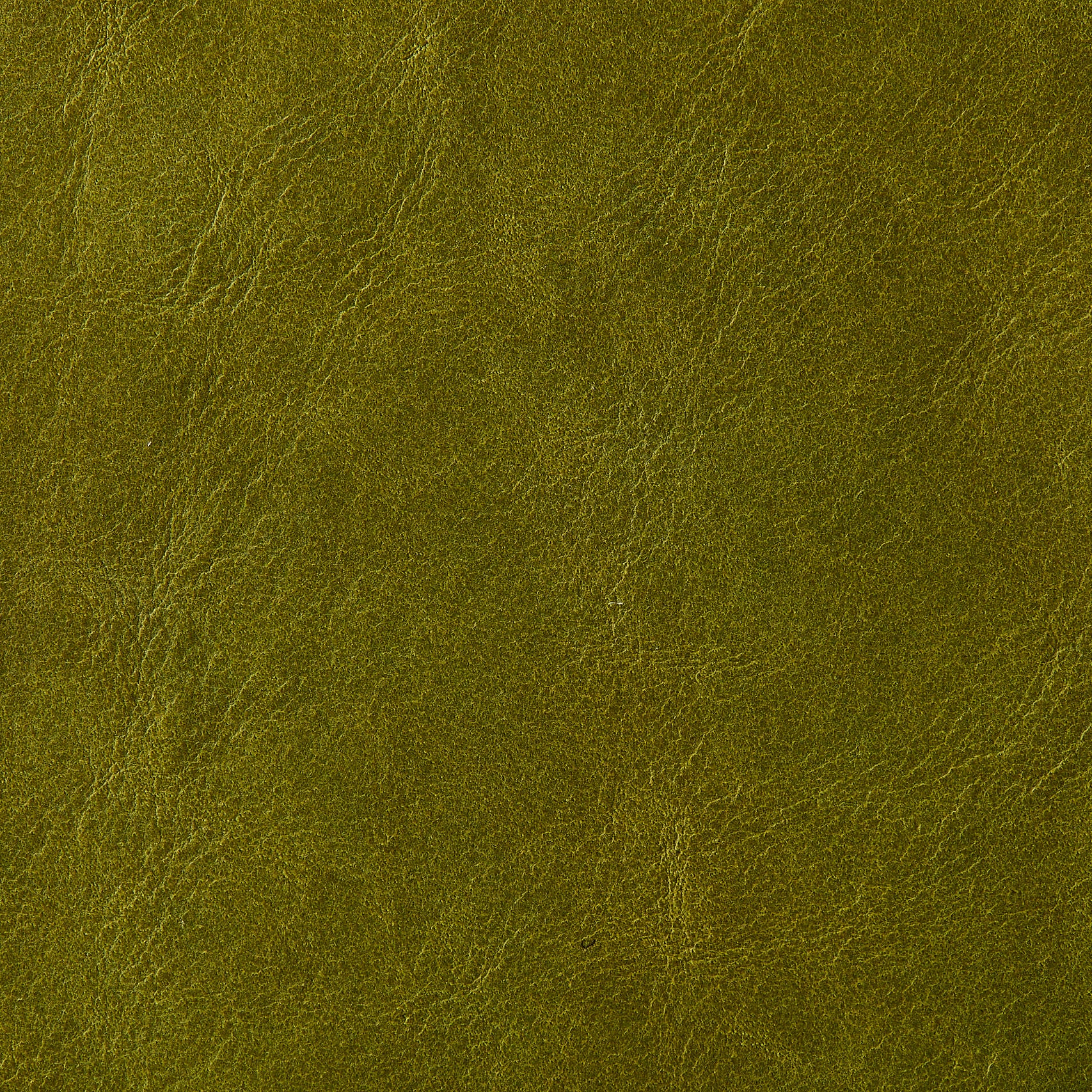 Botanical Indent - Lime 10008
