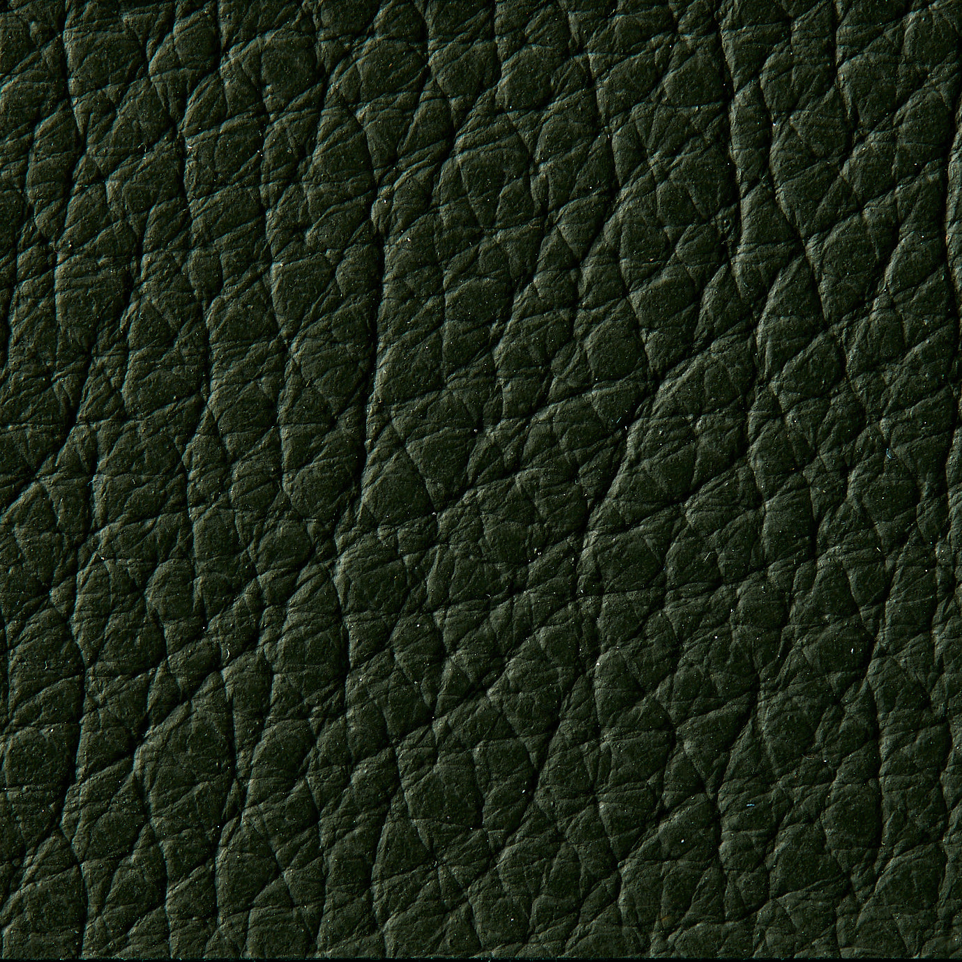 Royal Protect Indent - 69140 Bali