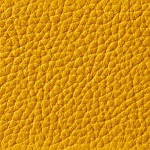 Royal In Yellow 29130 swatch