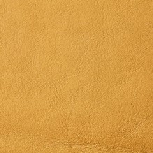 Regal In Sand swatch