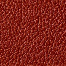 Royal In Rust 39175 swatch