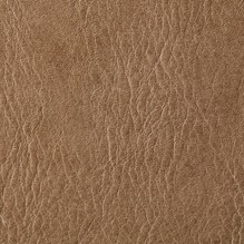 Panama In Taupe 1502 swatch