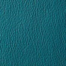 Sovereign In Turquoise 269 swatch