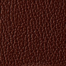 Royale In Mahogany 89170 swatch