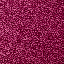 Sovereign In Fuscia 283 swatch