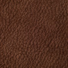 Nubuck In Chocolate Forest swatch