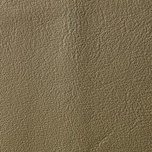 Ambience In Limestone 764 swatch